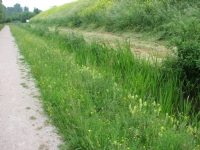20080601