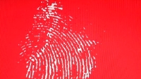 rood scherm