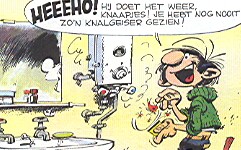 geiser